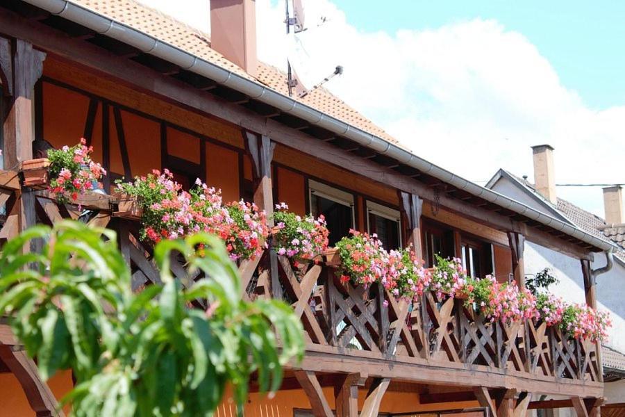 Chambres D'Hotes Arnold Dambach-la-Ville Luaran gambar